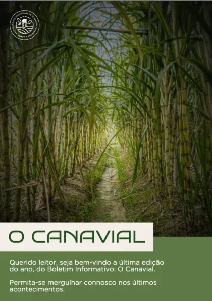 Boletim Informativo | O Canavial | 2024