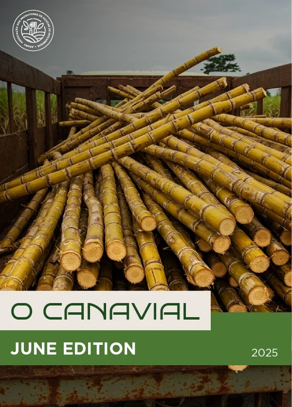 Newsletter | O Canavial | June Edition  | 2025