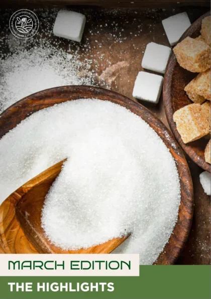 Newsletter | O Canavial | March Edition | 2025