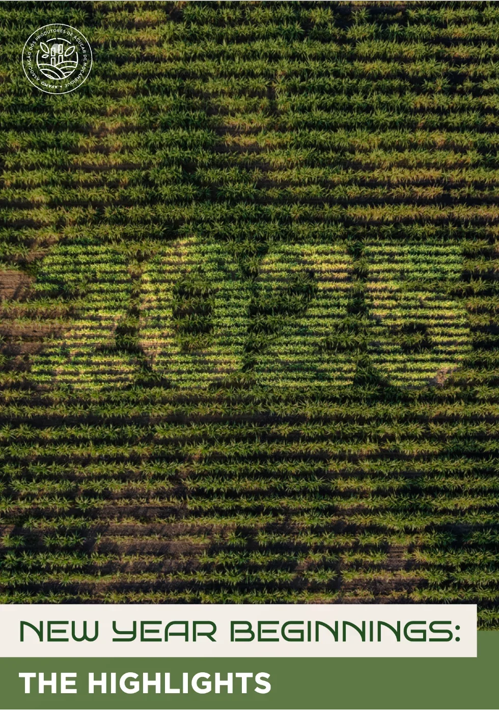 Newsletter | New Year Beginnings | HIGHLIGHTS | 2025