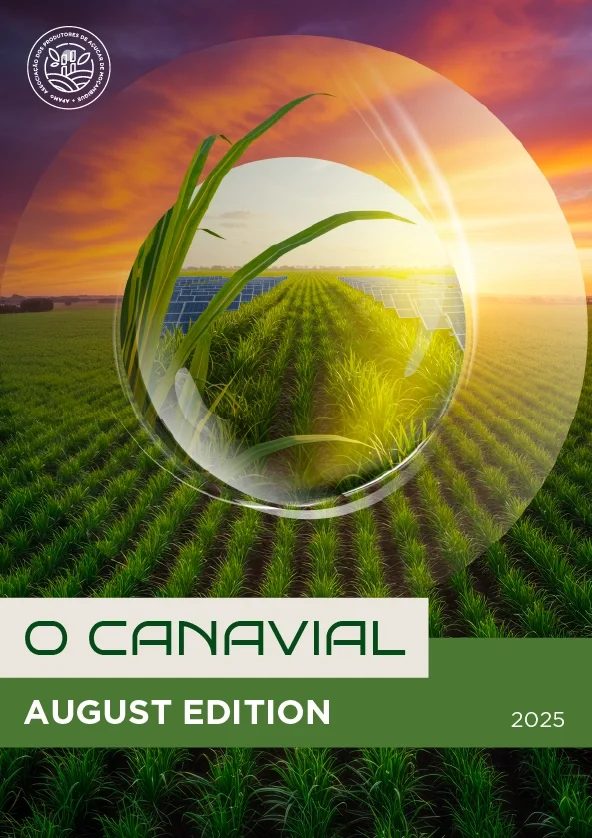 Newsletter | O Canavial | August Edition | 2025