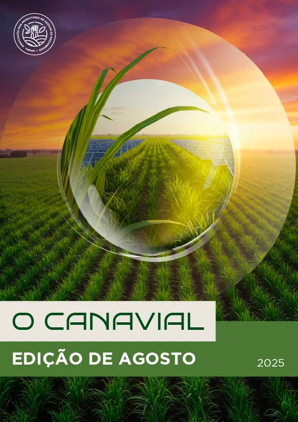 Boletim Informativo | O Canavial | Edição de Agosto | 2025