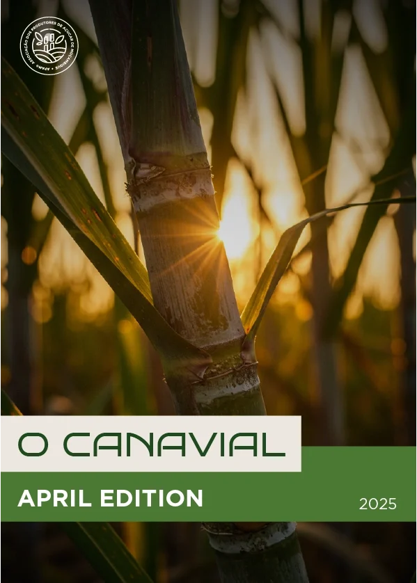Newsletter | O Canavial | April Edition | 2025