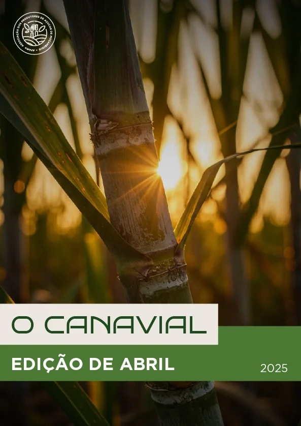 Boletim Informativo | O Canavial | Edição de Abril | 2025