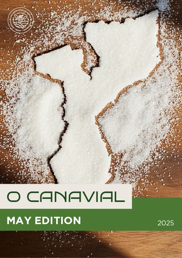 Newsletter | O Canavial | May Edition | 2025