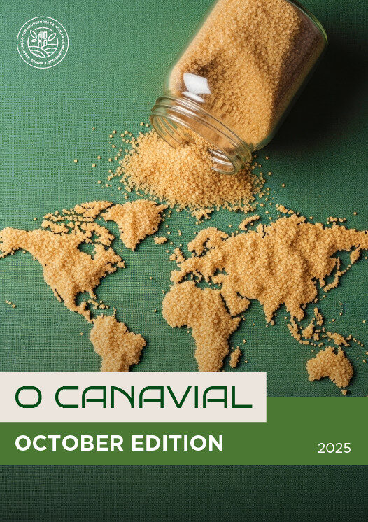 Newsletter | O Canavial | October Edition | 2025