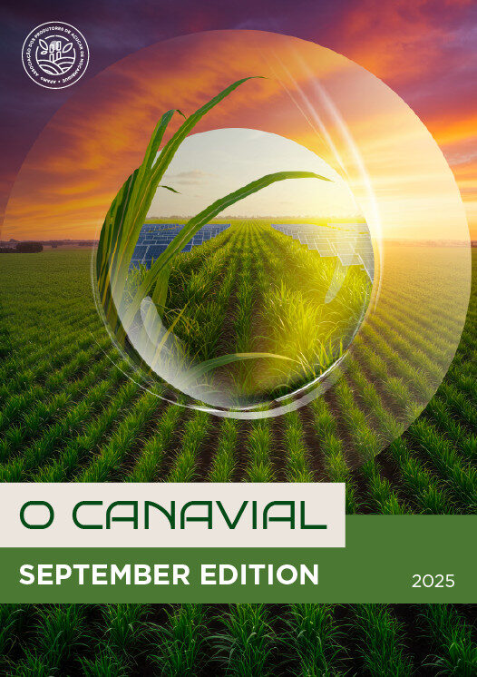 Newsletter | O Canavial | September Edition | 2025