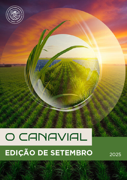 Boletim Informativo | O Canavial | Edição de Setembro | 2025