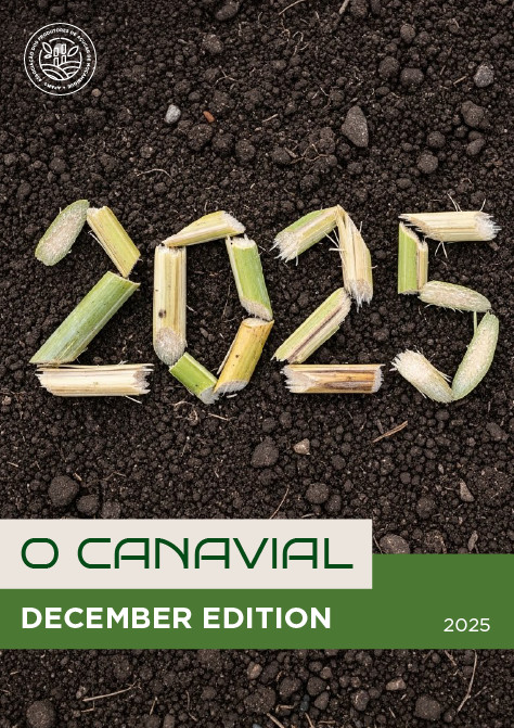 Newsletter | O Canavial | December Edition | 2025