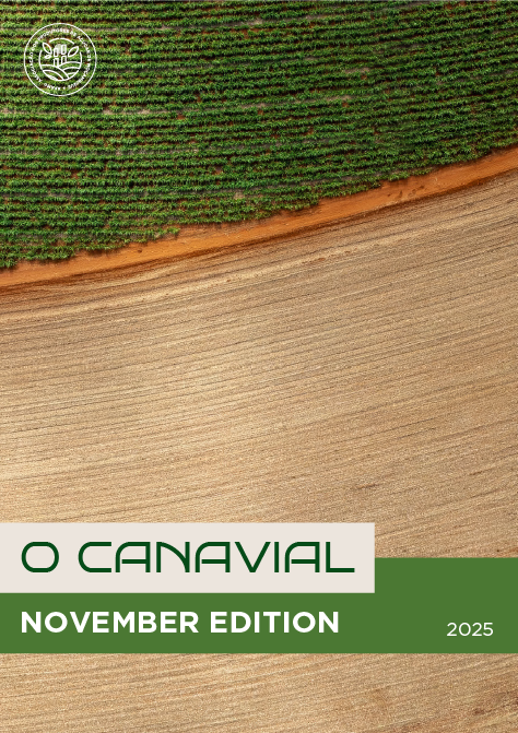 Newsletter | O Canavial | November Edition | 2025