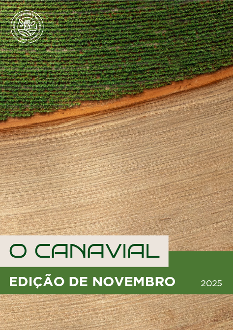 Boletim Informativo | O Canavial | Edição de Novembro | 2025
