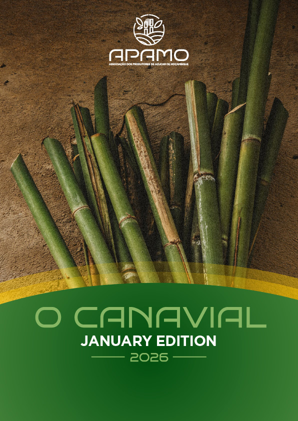 Newsletter | O Canavial | January Edition | 2026