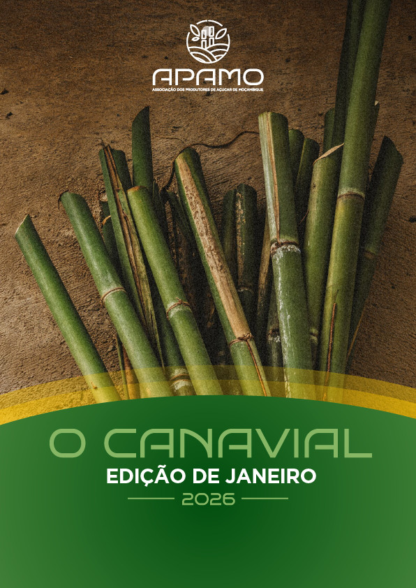 Boletim Informativo | O Canavial | Edição de Janeiro | 2026