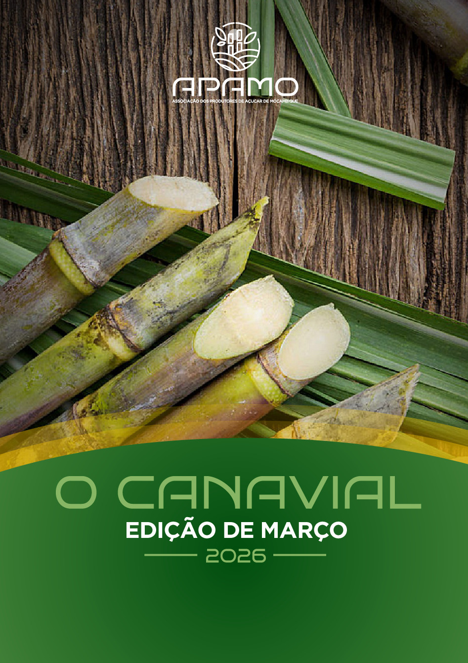 Boletim Informativo | O Canavial | Edição de Março | 2026